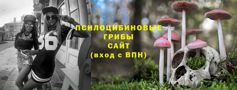 mega маркетплейс  Чулым  Псилоцибиновые грибы Psilocybine cubensis 